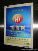 Manufactura Co., Ltd de los productos del animal doméstico de Ningbo GuiYou